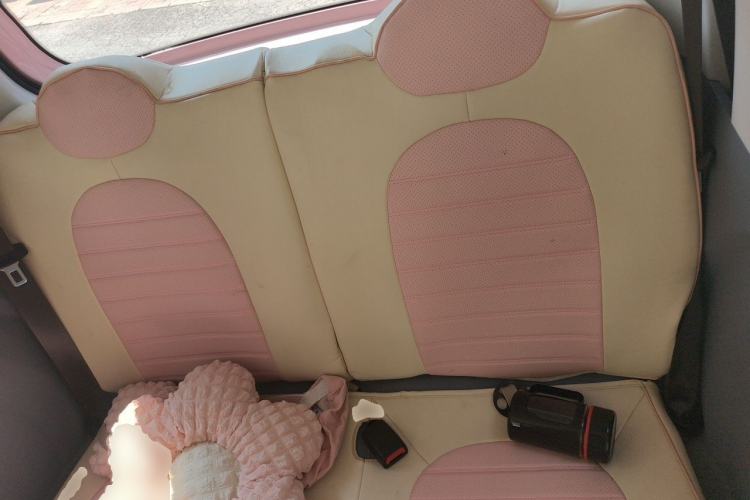 Used Bestune Pony 2024 170km Range Energizing Horse Left Rear Seat