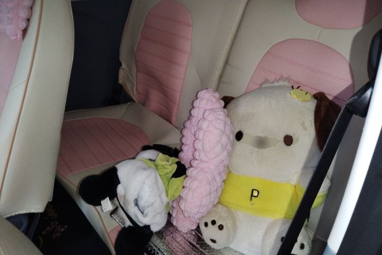 Used Bestune Pony 2024 170km Vitality Horse Left Rear Seat