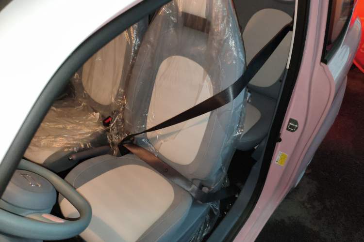 Used Bestune Pony 2024 170km Range Energizing Horse Left Front Seat
