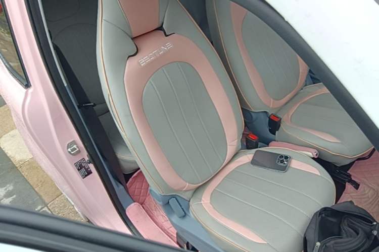 Used Bestune Pony 2024 170km Range Energizing Horse Right Front Seat