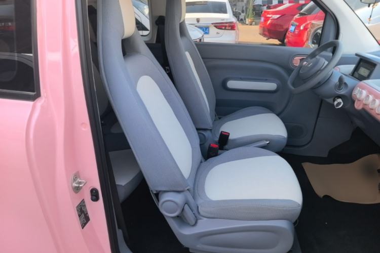 Used Bestune Pony 2024 170km Range Energizing Horse Right Front Seat