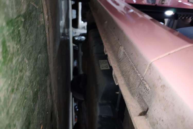 Used Bestune Pony 2024 170km Range Energizing Horse Right Side Sill