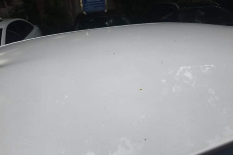 Used Bestune Pony 2024 170km Vitality Horse Roof