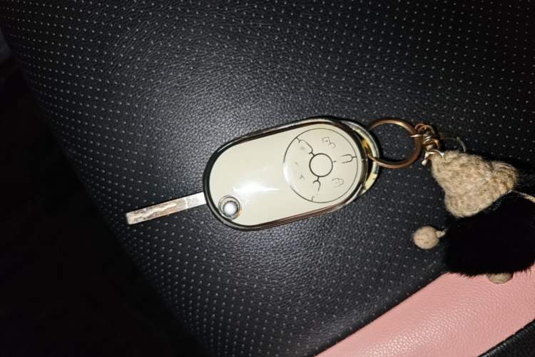 Used Bestune Pony 2024 170km Vitality Horse Vehicle Key