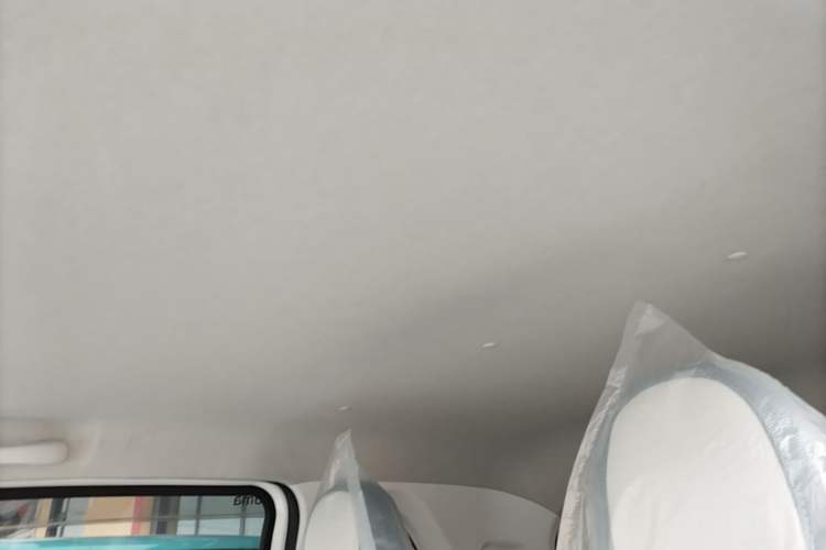 Used Bestune Pony 2024 170km Vitality Horse Headliner