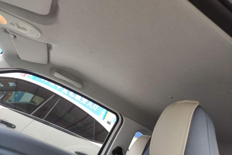 Used Bestune Pony 2024 170km Range Energizing Horse Headliner