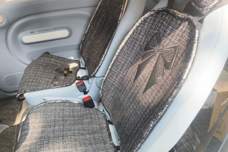 Used Bestune Pony 2024 170km Vitality Horse Left Rear Seat