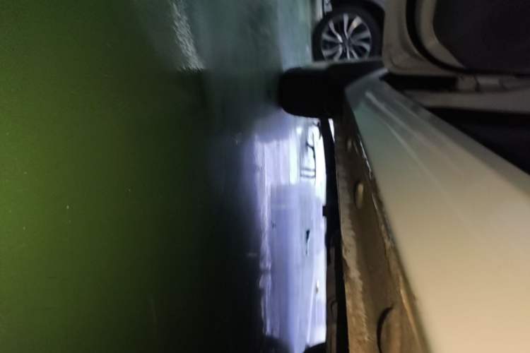Used Bestune Pony 2024 170km Range Energizing Horse Left Side Sill