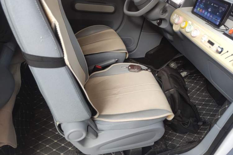 Used Bestune Pony 2024 170km Range Energizing Horse Right Front Seat