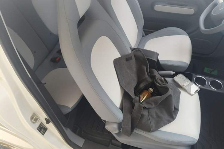 Used Bestune Pony 2024 170km Vitality Horse Right Front Seat
