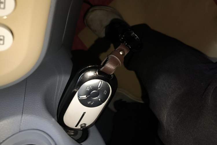 Used Bestune Pony 2024 170km Range Energizing Horse Vehicle Key