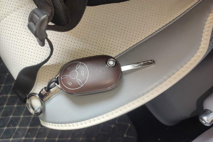 Used Bestune Pony 2024 170km Range Energizing Horse Vehicle Key