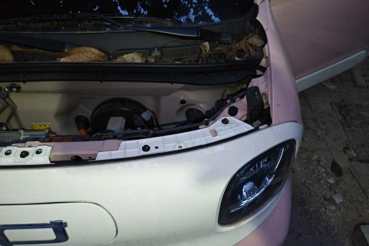 Used Bestune Pony 2025 222km Clever Horse Engine Bay Left
