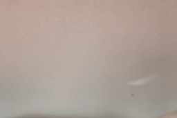Thumbnail 21