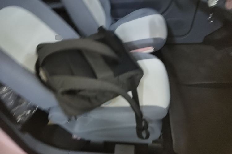 Used Bestune Pony 2025 222km Range Linglong Horse Right Front Seat