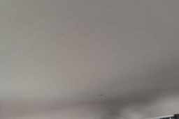 Thumbnail 21