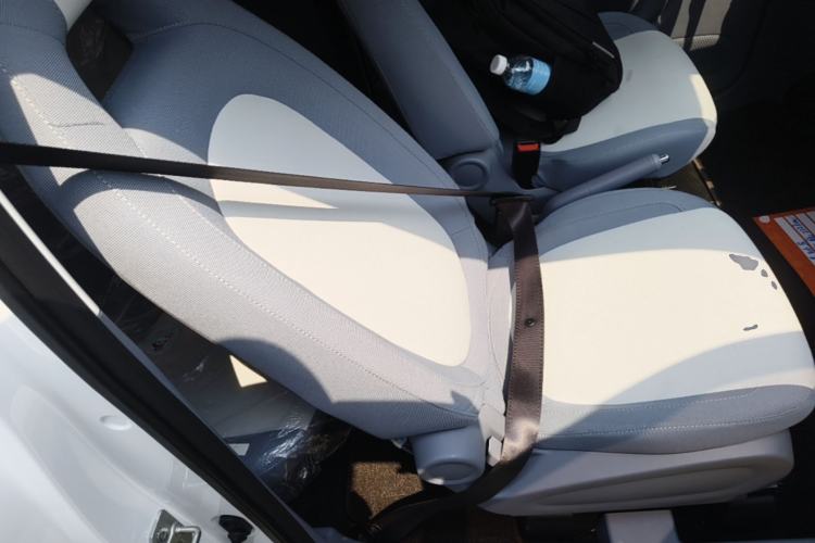 Used Bestune Pony 2025 222km Range Agile Horse Right Front Seat