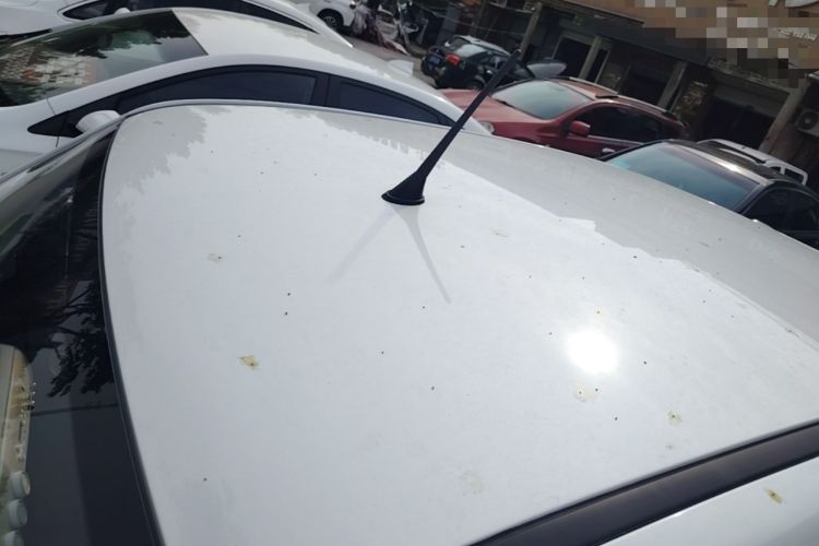 Used Bestune Pony 2025 222km Clever Horse Roof