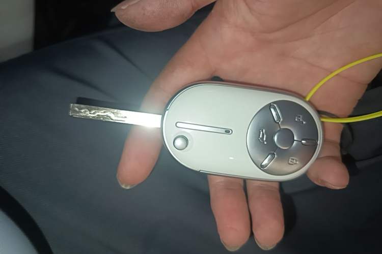 Used Bestune Pony 2025 222km Lightning Horse Vehicle Key