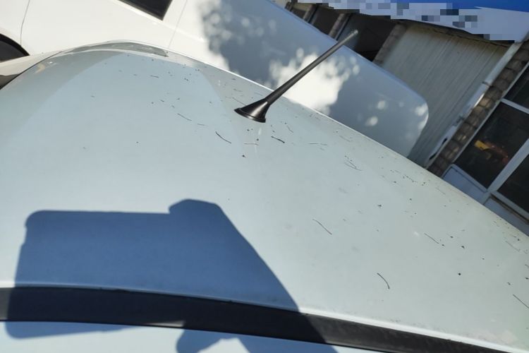 Used Bestune Pony 2026 222km Colorful Horse Roof