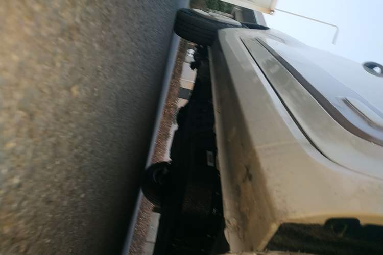 Used Bestune Pony 2026 222km Colorful Horse Right Side Sill