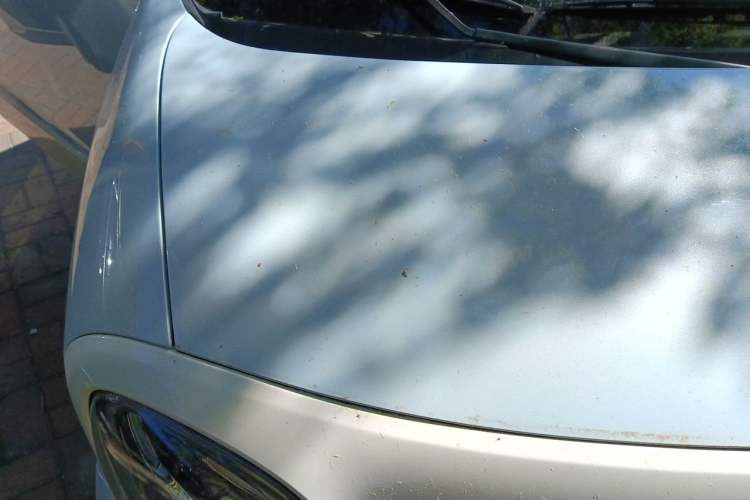Used Bestune Pony 2026 Model 222km Cute Horse Plus Engine Bay Right