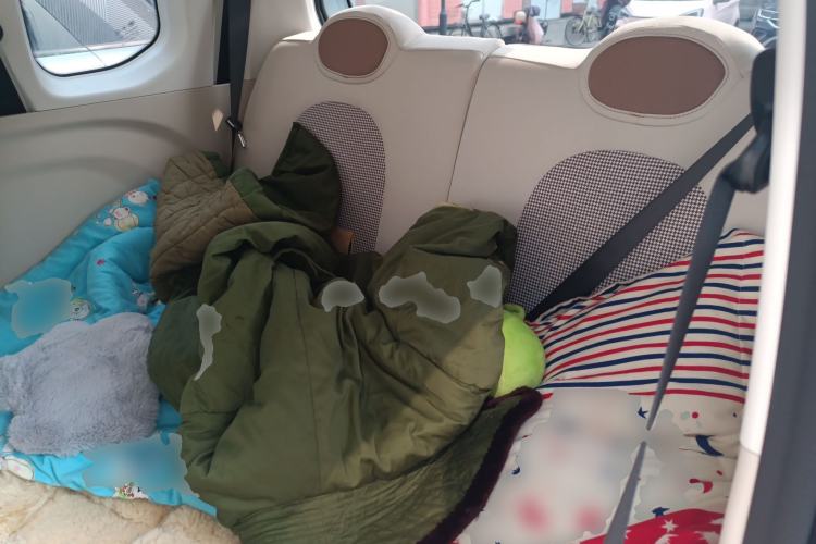 Used Bestune Pony 2026 222km Colorful Horse Left Rear Seat