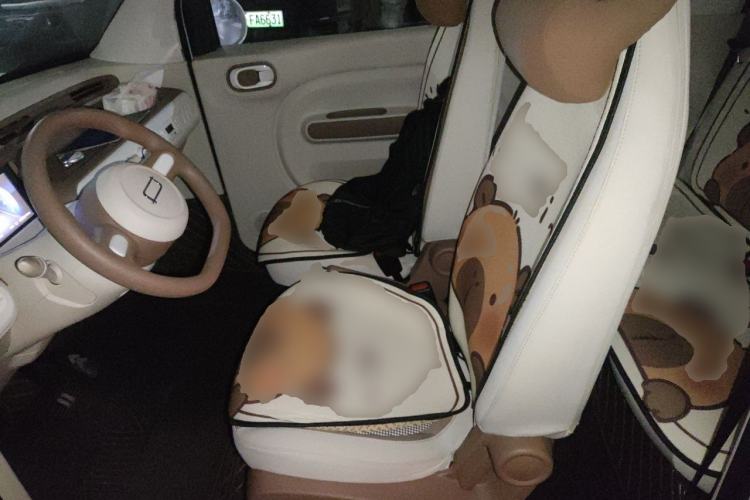 Used Bestune Pony 2026 222km Colorful Horse Left Front Seat