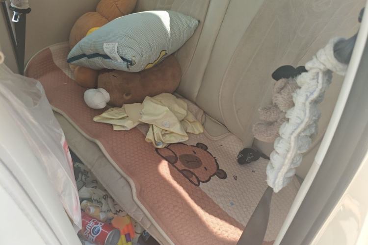 Used Bestune Pony 2026 Model 222km Shining Horse Left Rear Seat