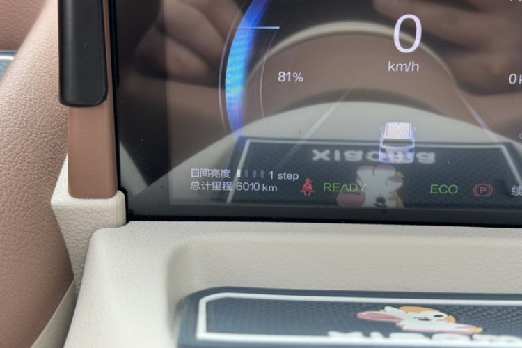 Used Bestune Pony 2026 222km Colorful Horse Odometer Close Up