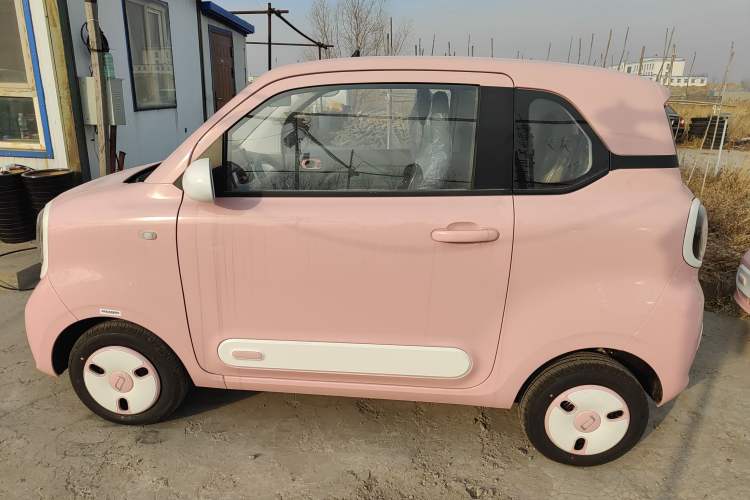Used Bestune Pony 2026 Model 222km Cute Horse Left Side