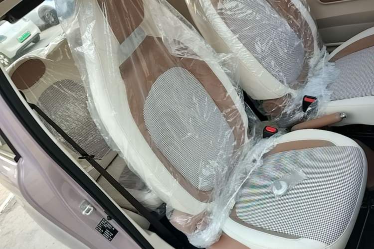 Used Bestune Pony 2026 222km Colorful Horse Right Front Seat