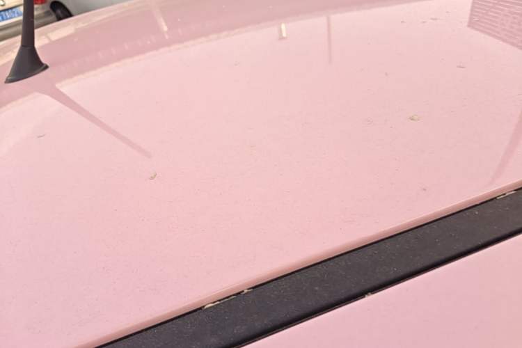 Used Bestune Pony 2026 Model 222km Cute Horse Roof