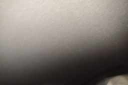 Thumbnail 19