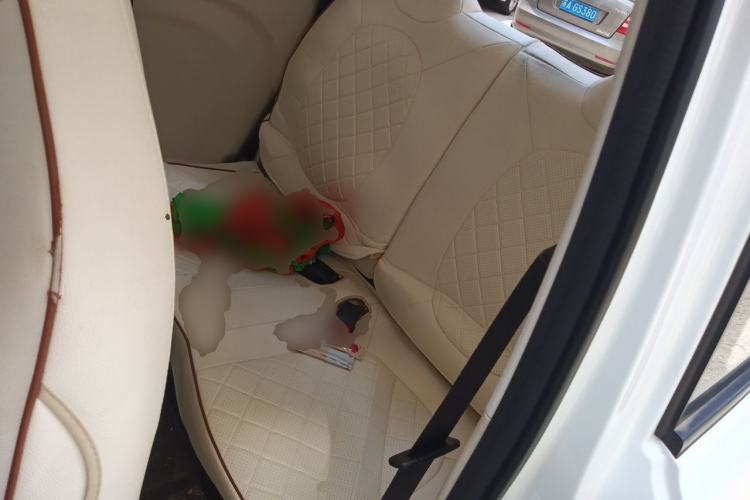Used Bestune Pony 2026 222km Colorful Horse Left Rear Seat
