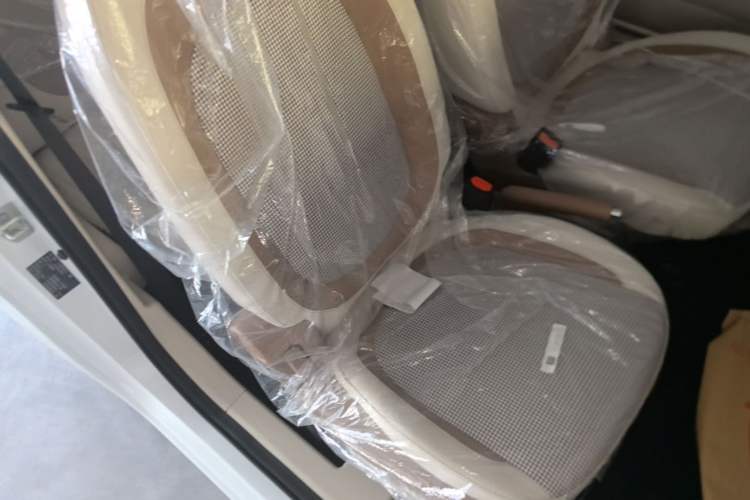 Used Bestune Pony 2026 222km Colorful Horse Right Front Seat