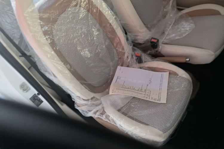 Used Bestune Pony 2026 222km Colorful Horse Right Front Seat