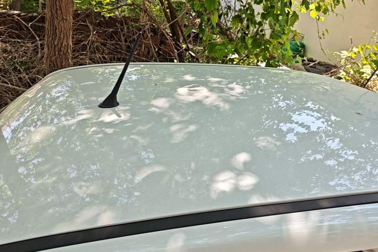 Used Bestune Pony 2026 222km Colorful Horse Roof