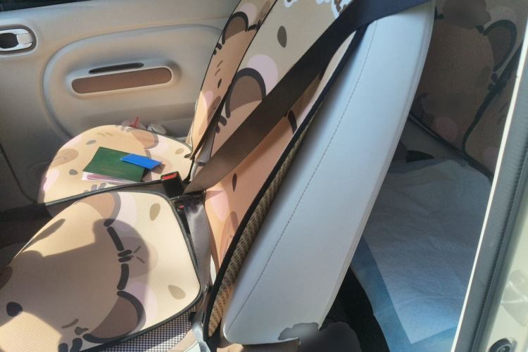 Used Bestune Pony 2026 222km Colorful Horse Left Rear Seat