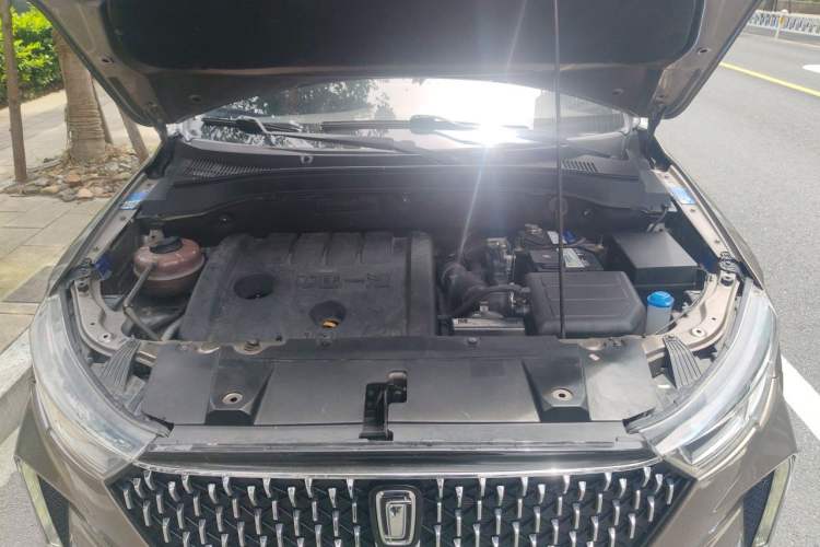 Used Bestune T33 2019 1.6L Automatic Luxury Edition China VI Engine Bay