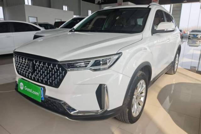 Used Bestune T33 2019 1.6L Automatic Luxury Edition China VI