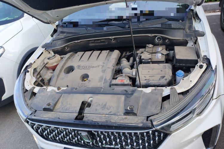 Used Bestune T33 2019 1.6L Automatic Luxury Version China V Emission Standard Engine Bay