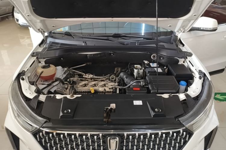 Used Bestune T33 2019 1.6L Automatic Luxury Edition China VI Engine Bay