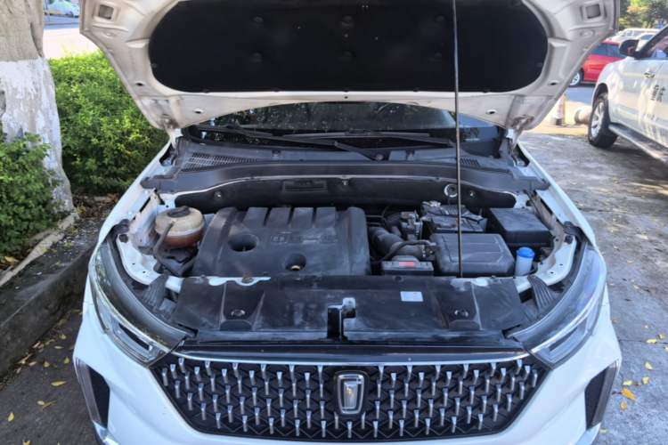 Used Bestune T33 2019 1.6L Automatic Luxury Edition China VI Engine Bay
