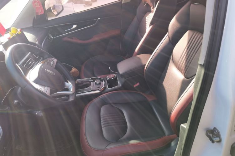 Used Bestune T33 2019 1.6L Automatic Luxury Edition China VI Left Front Seat