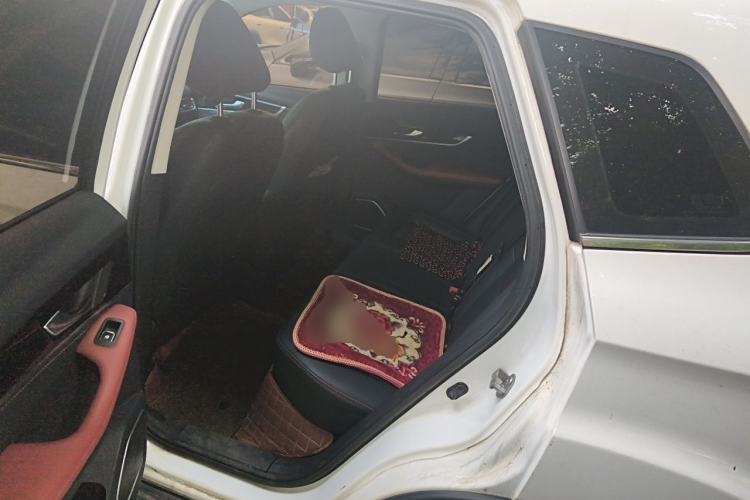 Used Bestune T33 2019 1.6L Automatic Luxury Edition China VI Left Rear Seat