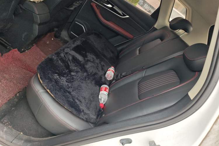 Used Bestune T33 2019 1.6L Manual Luxury Edition China VI Left Rear Seat