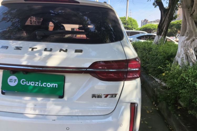 Used Bestune T33 2019 1.6L Automatic Luxury Edition China VI Right Rear Taillight