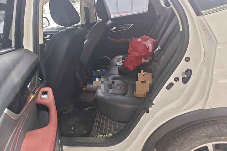 Used Bestune T33 2021 1.2T DCT Luxury Model Left Rear Seat