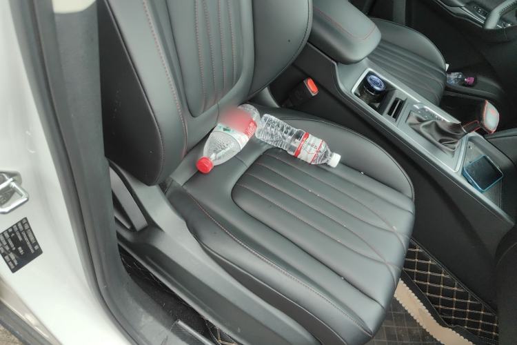 Used Bestune T55 2023 1.5T Automatic Leap Model Right Front Seat